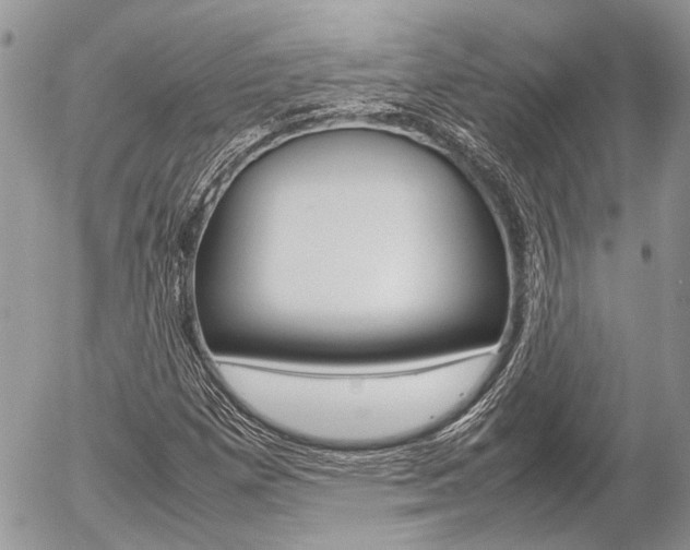 X0000054391257200507290757