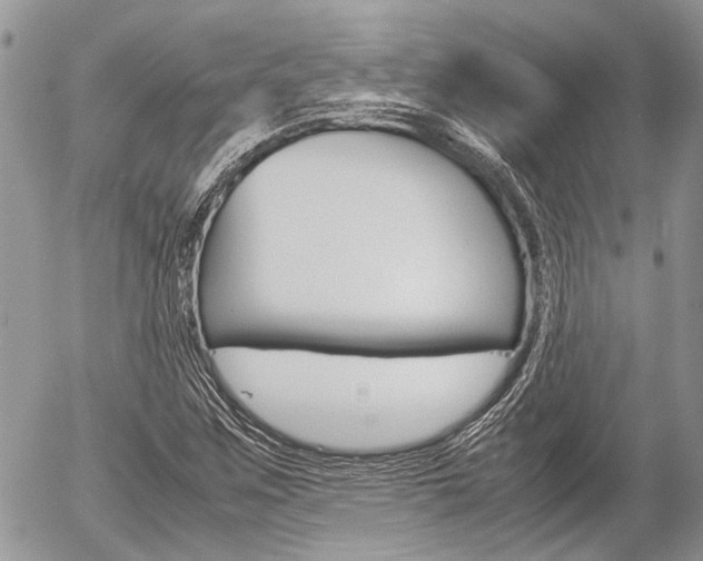 X0000054391259200507290757