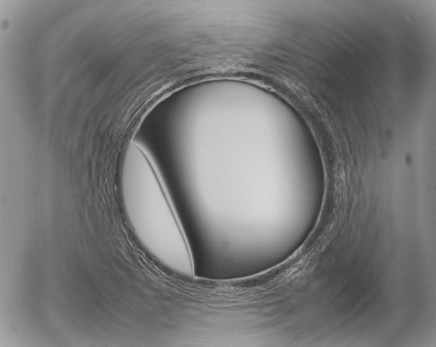 X0000054391265200507290757