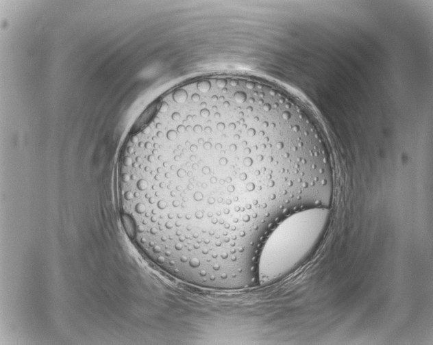 X0000054391295200507290757