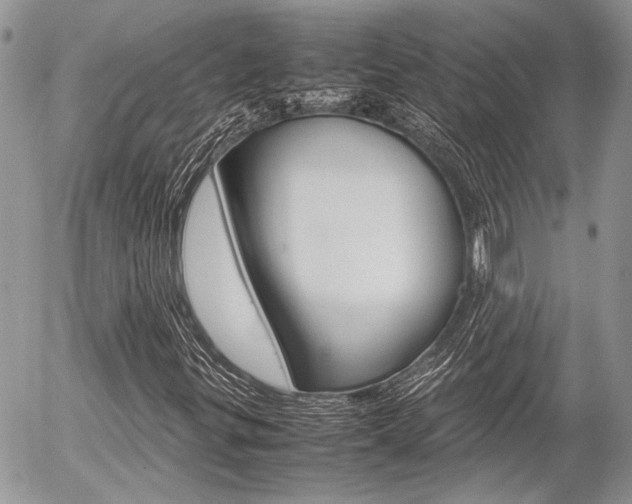 X0000054391299200507290756