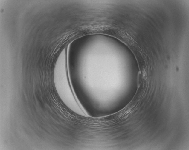 X0000054391300200507290756