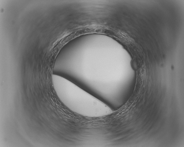X0000054391302200507290756