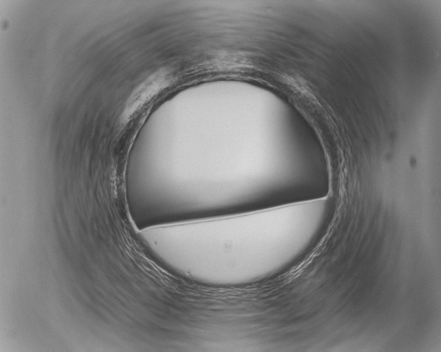 X0000054391306200507290756