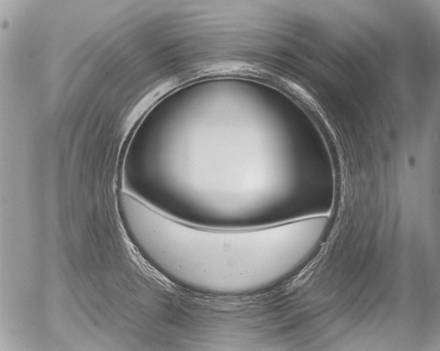 X0000054391330200507290756