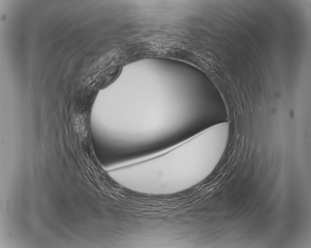 X0000054391347200507290756