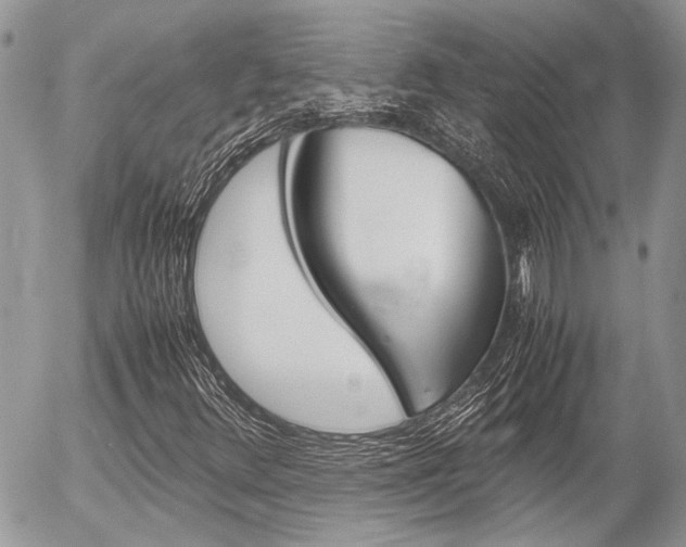 X0000054391348200507290756