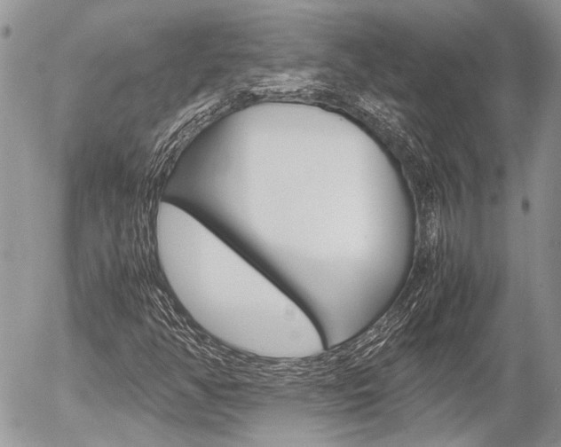 X0000054391350200507290756