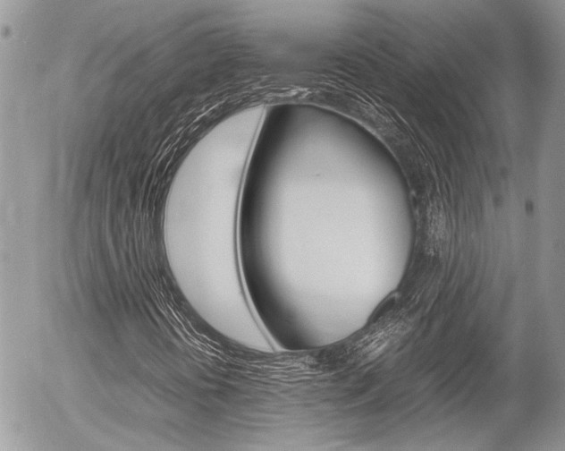 X0000054391394200507290754