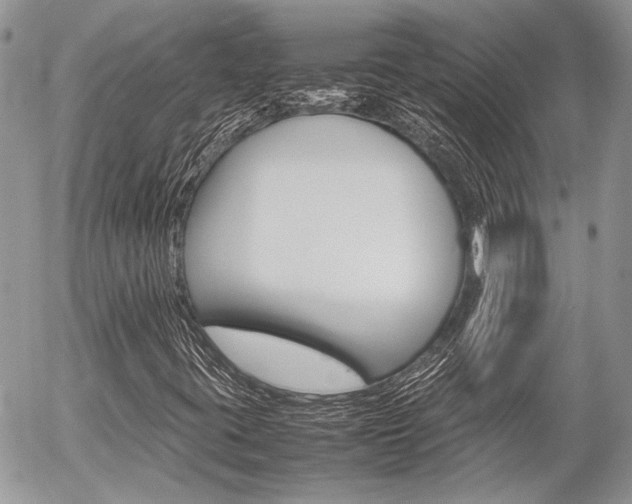 X0000054391395200507290754