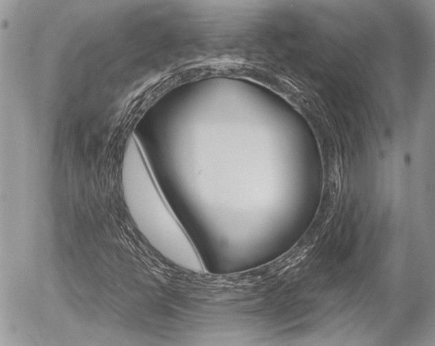 X0000054391398200507290754