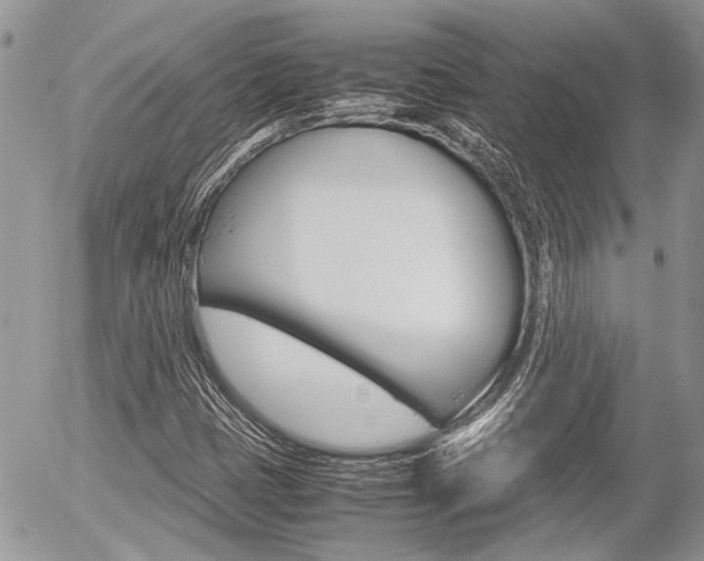 X0000054391401200507290754