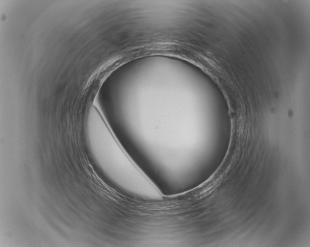 X0000054391402200507290754