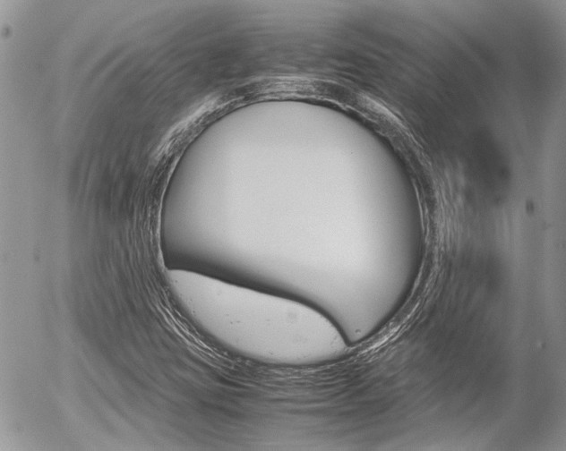 X0000054391403200507290754
