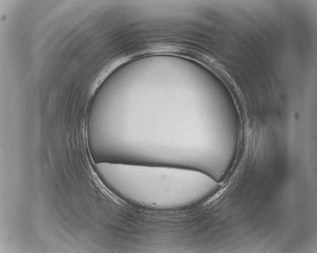X0000054391417200507290755