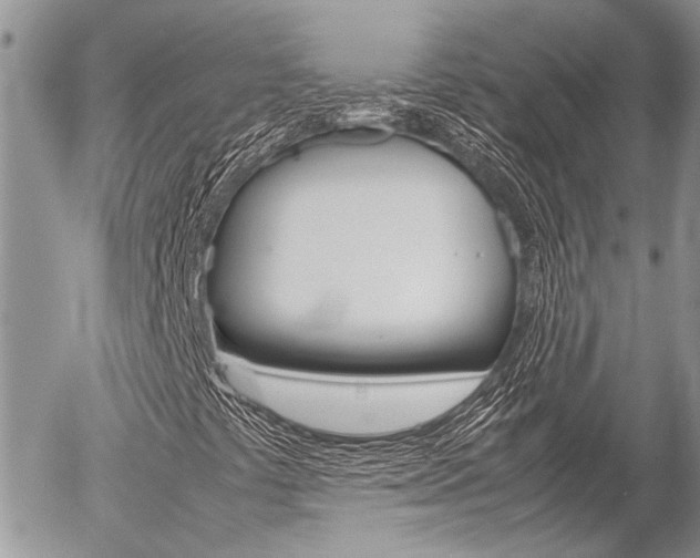 X0000054391441200507290754