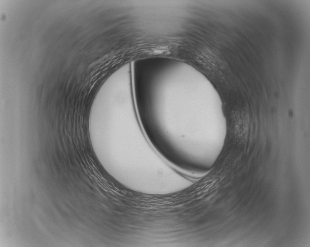 X0000054391442200507290754