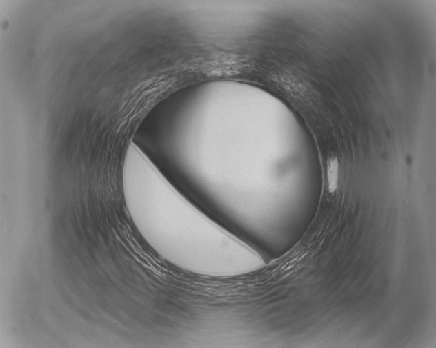 X0000054391444200507290754