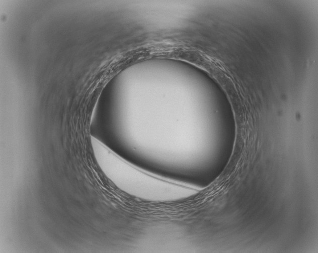 X0000054391445200507290754