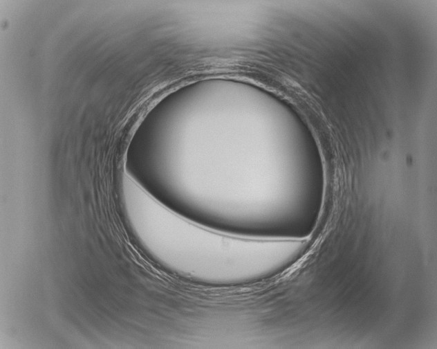 X0000054391449200507290754