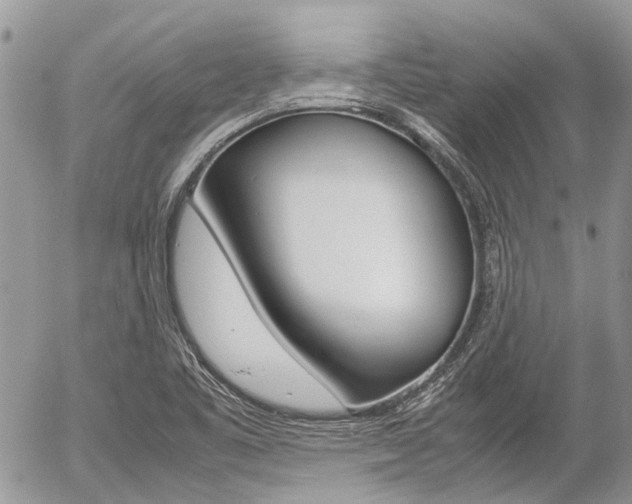 X0000054391461200507290754
