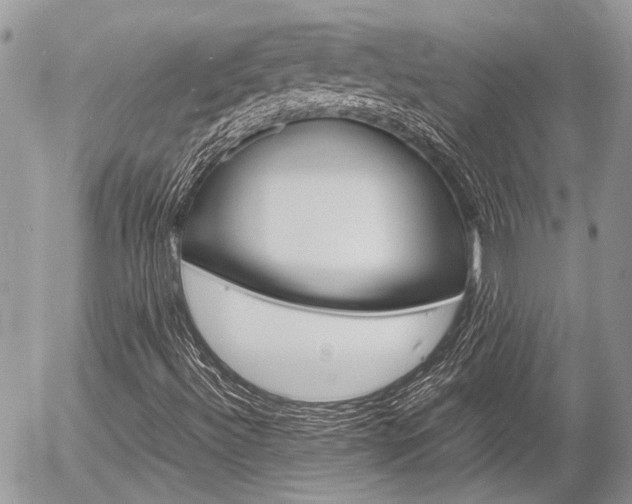 X0000054391492200507290753