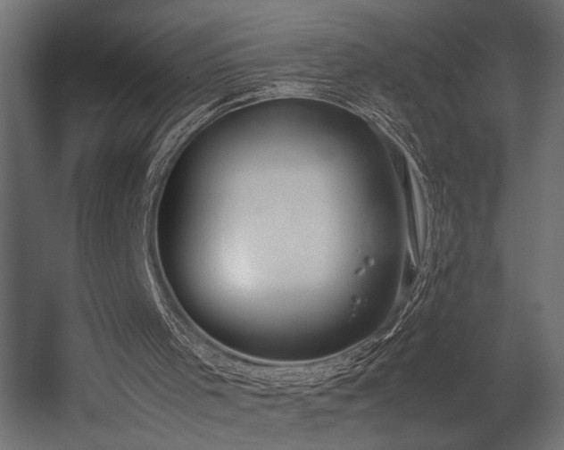 X0000054390001200507291156