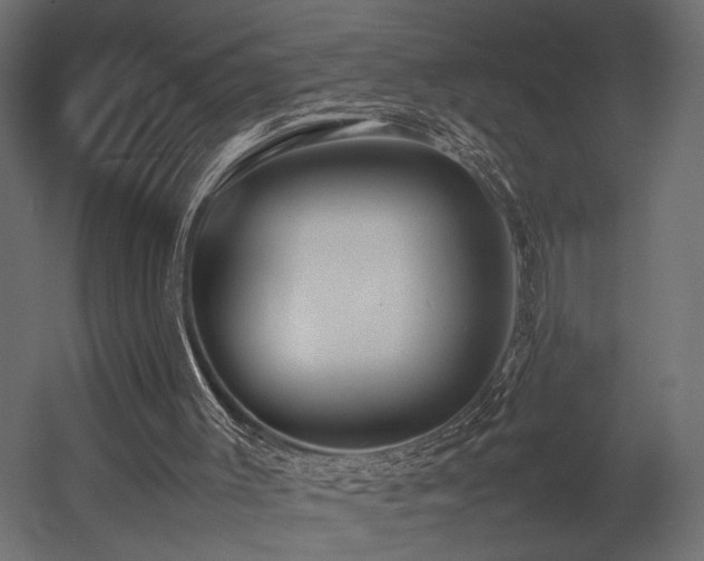 X0000054390003200507291156