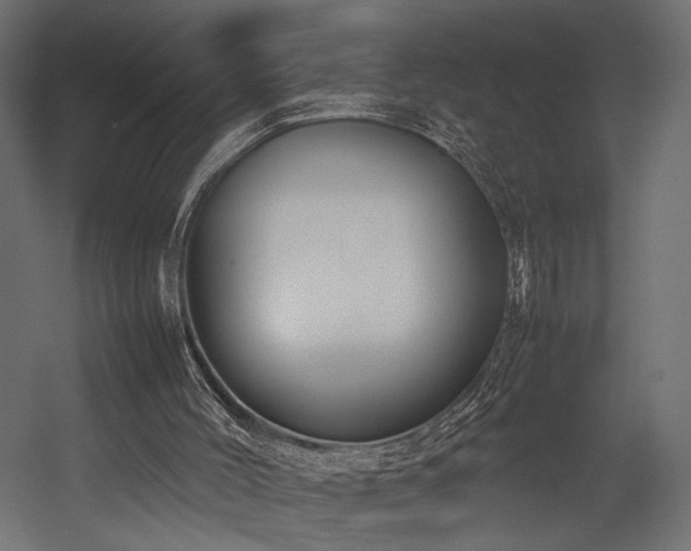 X0000054390004200507291156