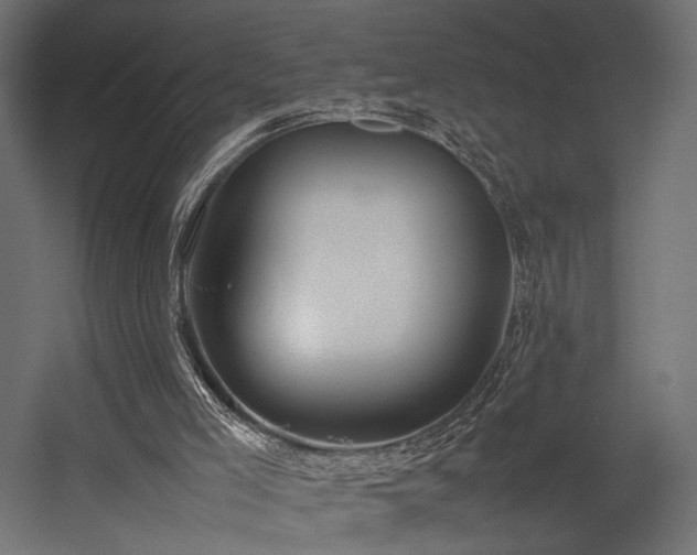 X0000054390005200507291156