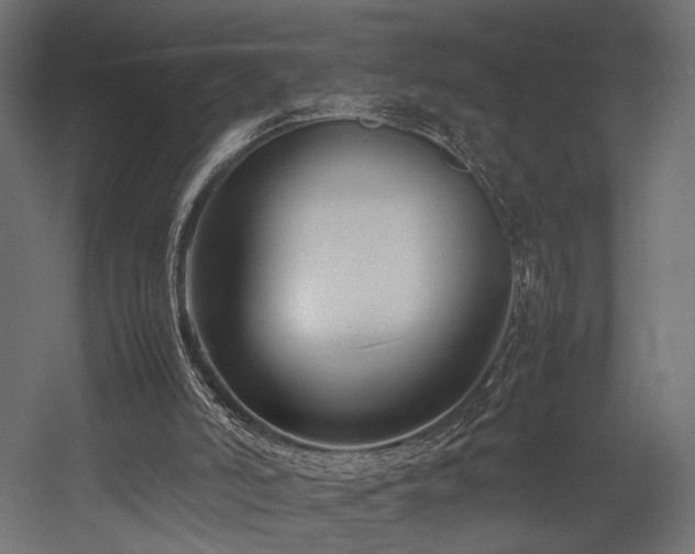 X0000054390006200507291156