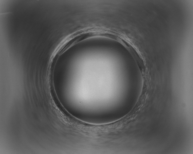 X0000054390007200507291156