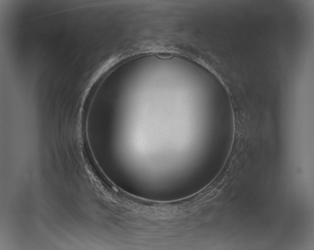 X0000054390008200507291156