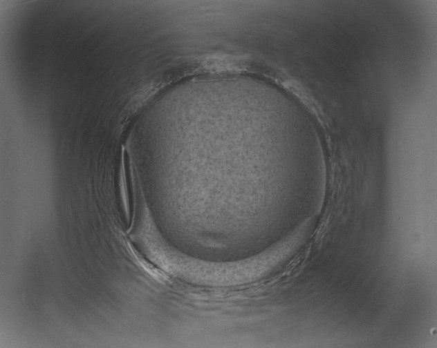 X0000054390009200507291156