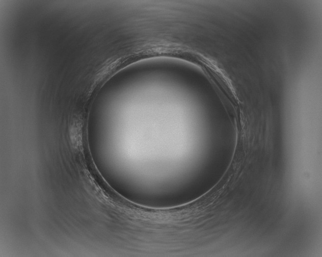 X0000054390010200507291156