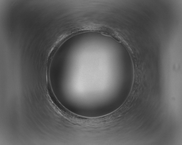 X0000054390011200507291156