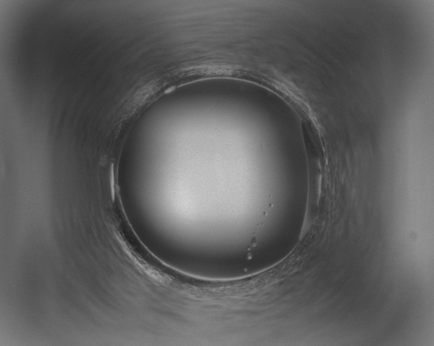 X0000054390013200507291155