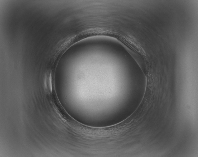 X0000054390014200507291155
