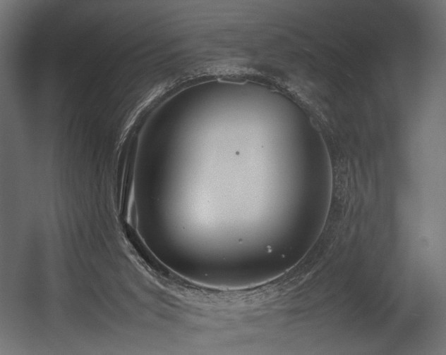 X0000054390015200507291155