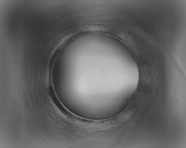 X0000054390016200507291155