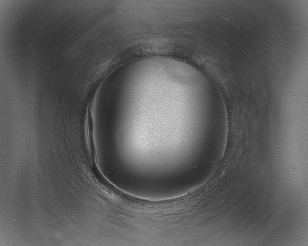 X0000054390017200507291155