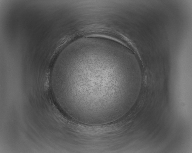 X0000054390018200507291155