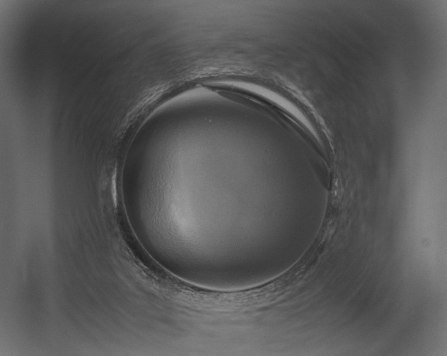 X0000054390019200507291155