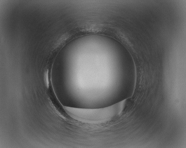 X0000054390020200507291155