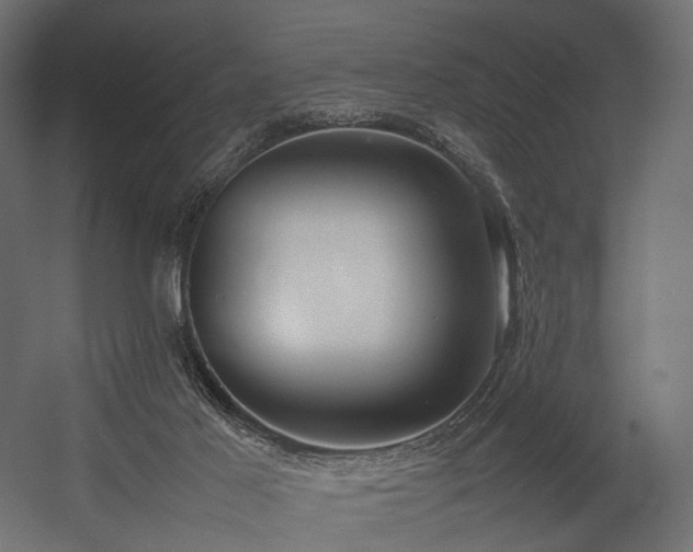 X0000054390021200507291155
