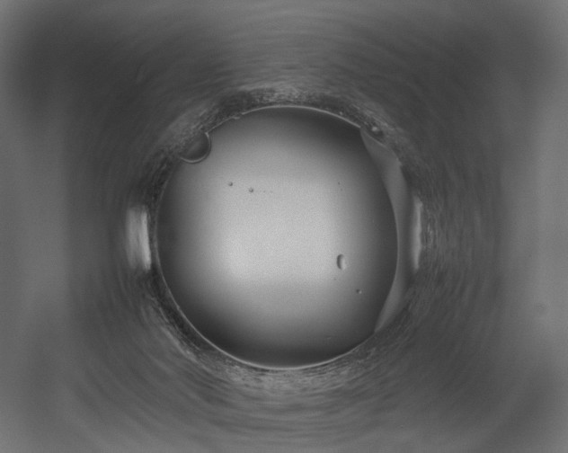 X0000054390022200507291155