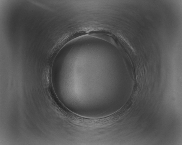X0000054390023200507291155