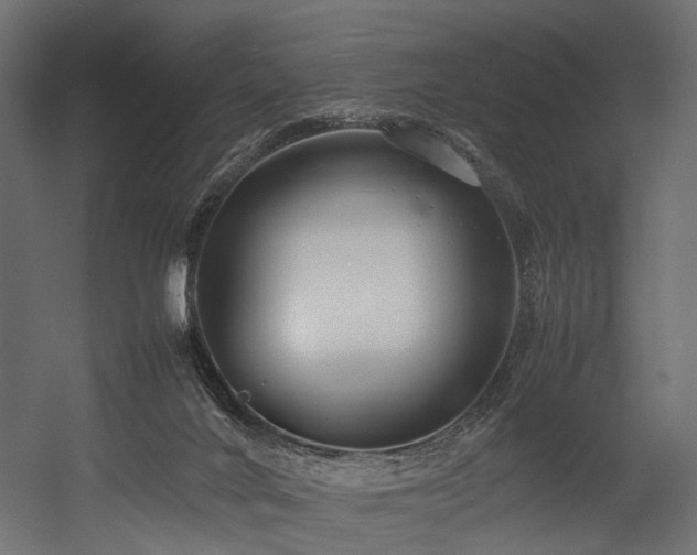 X0000054390024200507291155