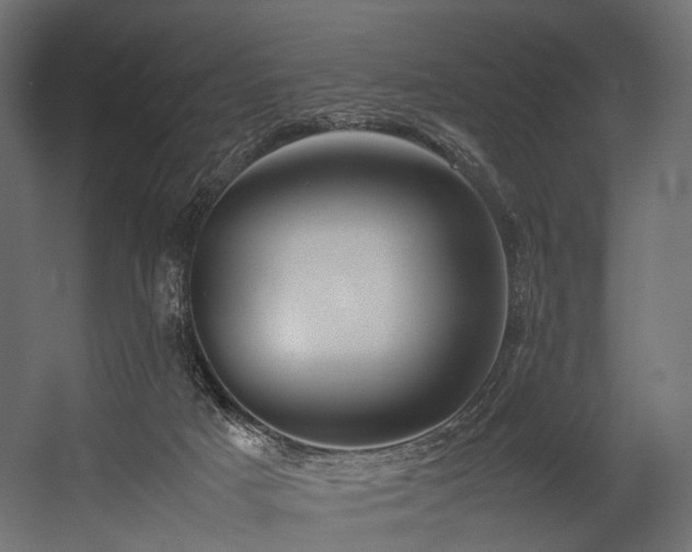 X0000054390025200507291155