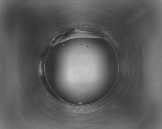 X0000054390026200507291155